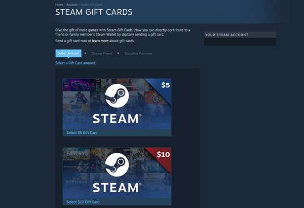 The Best Gift Card Ideas for Teens -STEAM Digital eGift Card