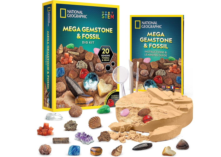 Birthday Gift for Kids You Can Buy on Amazon - NATIONAL GEOGRAPHIC Mega Fossil Dig Kit: Unearthing Ancient Secrets