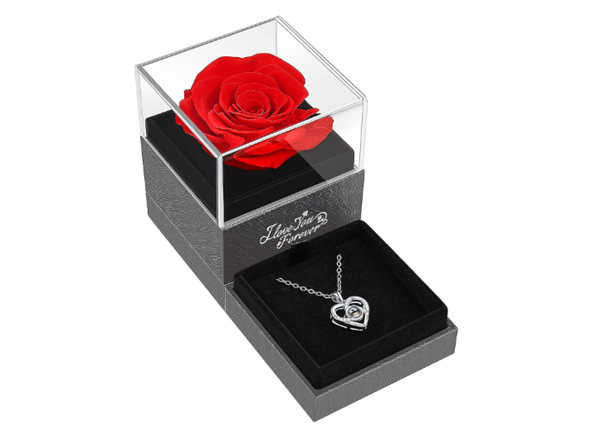 Best Gifts for Wife That She Will Love - Preserved Real Red Rose with I Love You Necklace