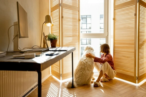 Morning East-Facing Windows-Aesthetic Window Light Patterns for Cinematic Home Lighting